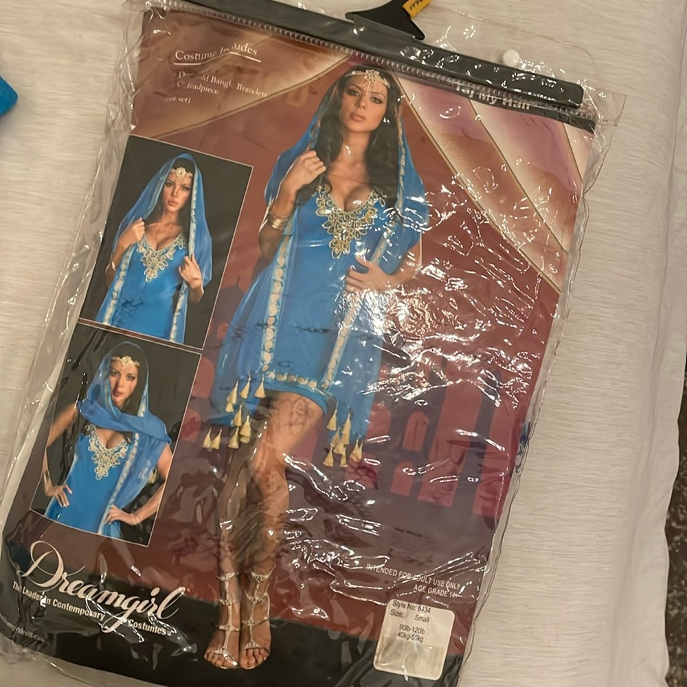 Middle eastern princess costume